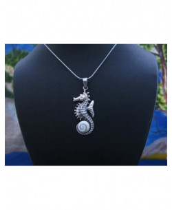 SP 0341 Pendant Shiva Eye Shell Silver