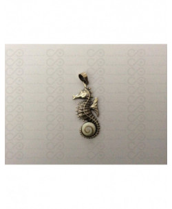 SP 0341 Pendant Shiva Eye Shell Silver 2