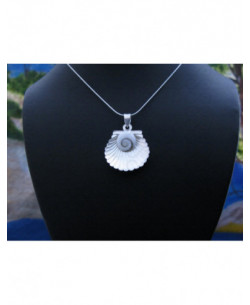 SP 0344 Pendant Shiva Eye Shell Silver