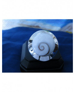 SR 0043 Ring Shiva Eye Shell Silver