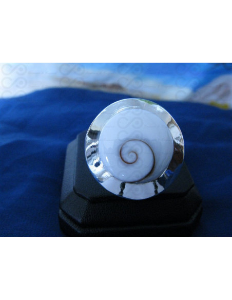 SR 0043 Ring Shiva Eye Shell Silver
