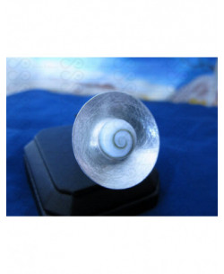 SR 0088 Ring Shiva Eye Shell Silver
