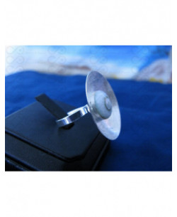 SR 0088 Ring Shiva Eye Shell Silver 2