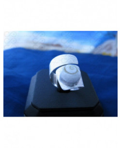 SR 0099 Anello in Argento con Occhio di Shiva