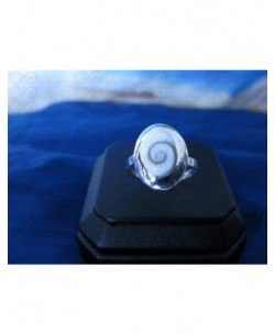 SR 0155 Ring Shiva Eye Shell Silver