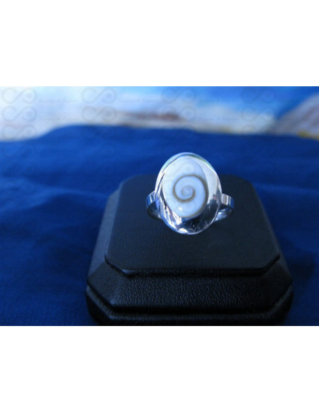 SR 0155 Ring Shiva Eye Shell Silver