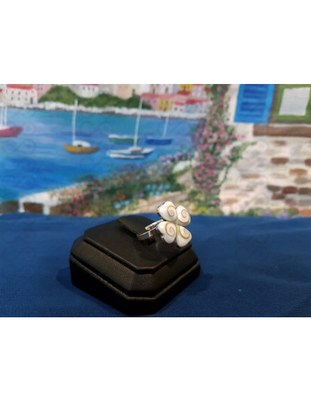 SR 0166 リングシヴァアイシルバー