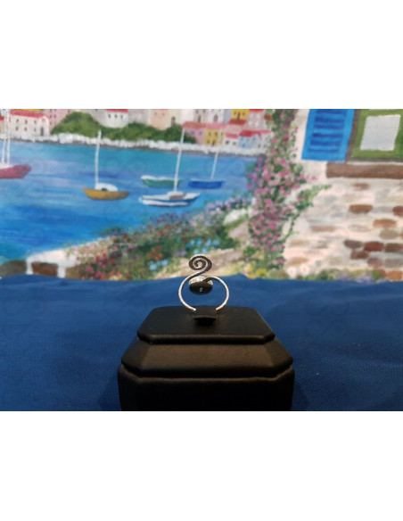 SR 0169 リングシヴァアイシルバー