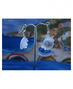 LE 0077 Earrings Shiva Eye Shell Silver